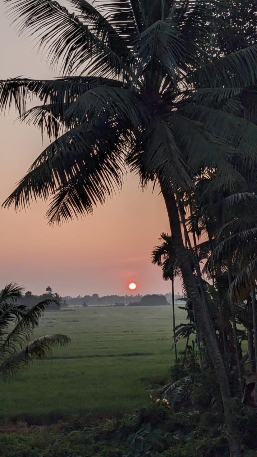 Paddy N Canal Homestay Alappuzha ภายนอก รูปภาพ